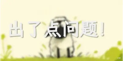 出现点小问题！