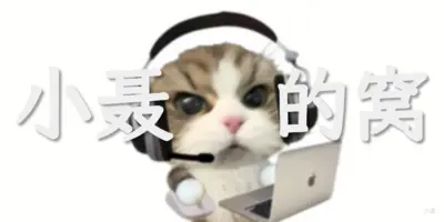 你好这里是小聂的窝